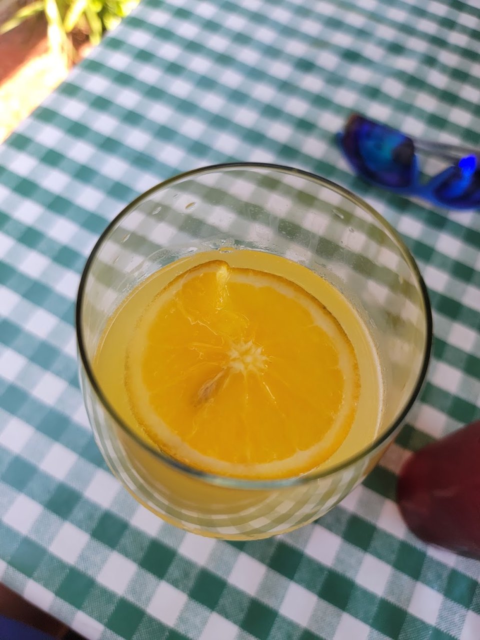 Mimosa